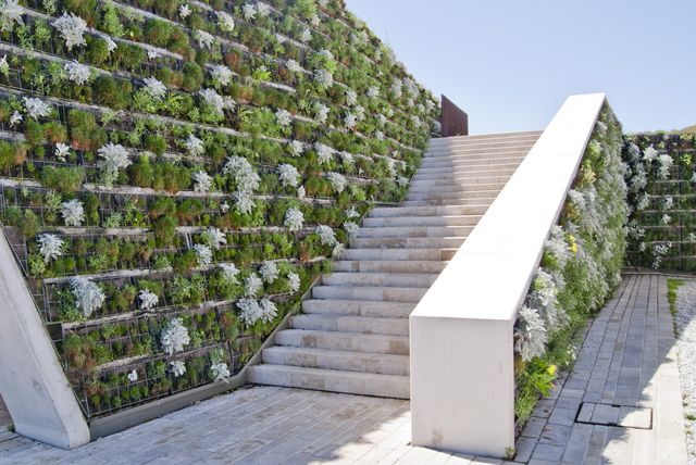 Green Roofs And Vertical Gardens In Modern Urban Design